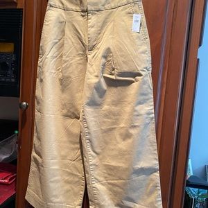 NWT Gap wide leg pants, one pair navy blue other Khaki color